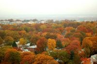 Click image to open! Click image to open!